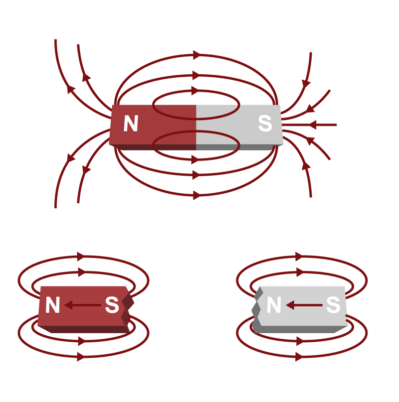 An illustration of the electric field of a bar magnet and the electric fields of two parts of the magnet when they are detached. When the magnet is split in half, new south and north poles are formed.