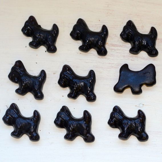 A photograph showing pieces of small dog-shaped pieces of candy. All the dogs are looking to the left expect for one, which is looking to the right.