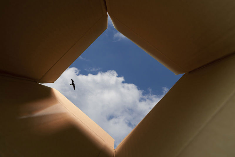 A photograph showing sky, clouds, and a bird as seen from the bottom of a small cardboard box.