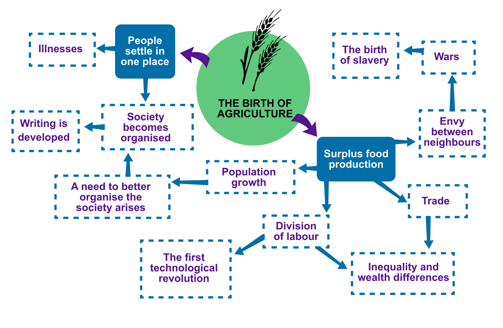 A graph showing the consequences of the birth of tagriculture. As a result of the transition to agriculture, people began settling in one place. Epidemic illnesses became more common, but society also became more organised. Writing was developed. Agriculture also resulted in surplus food production, which increased trade and made a new division of labour possible. At the same time, wars between different societies became more common.