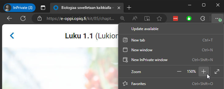 A screenhsot showing the zoom settings in Microsoft Edge.