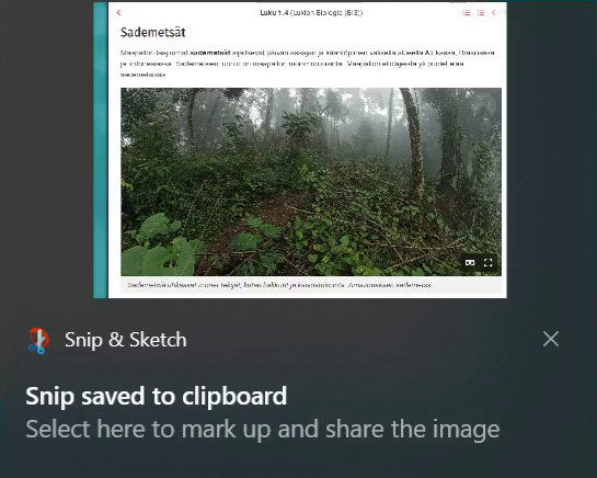 A screenshot showing the result of a screenshot on the snip & sketch tool in Windows.